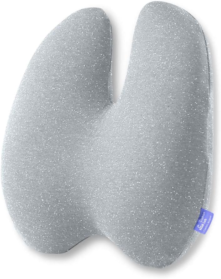 Extra Dense Lumbar Pillow